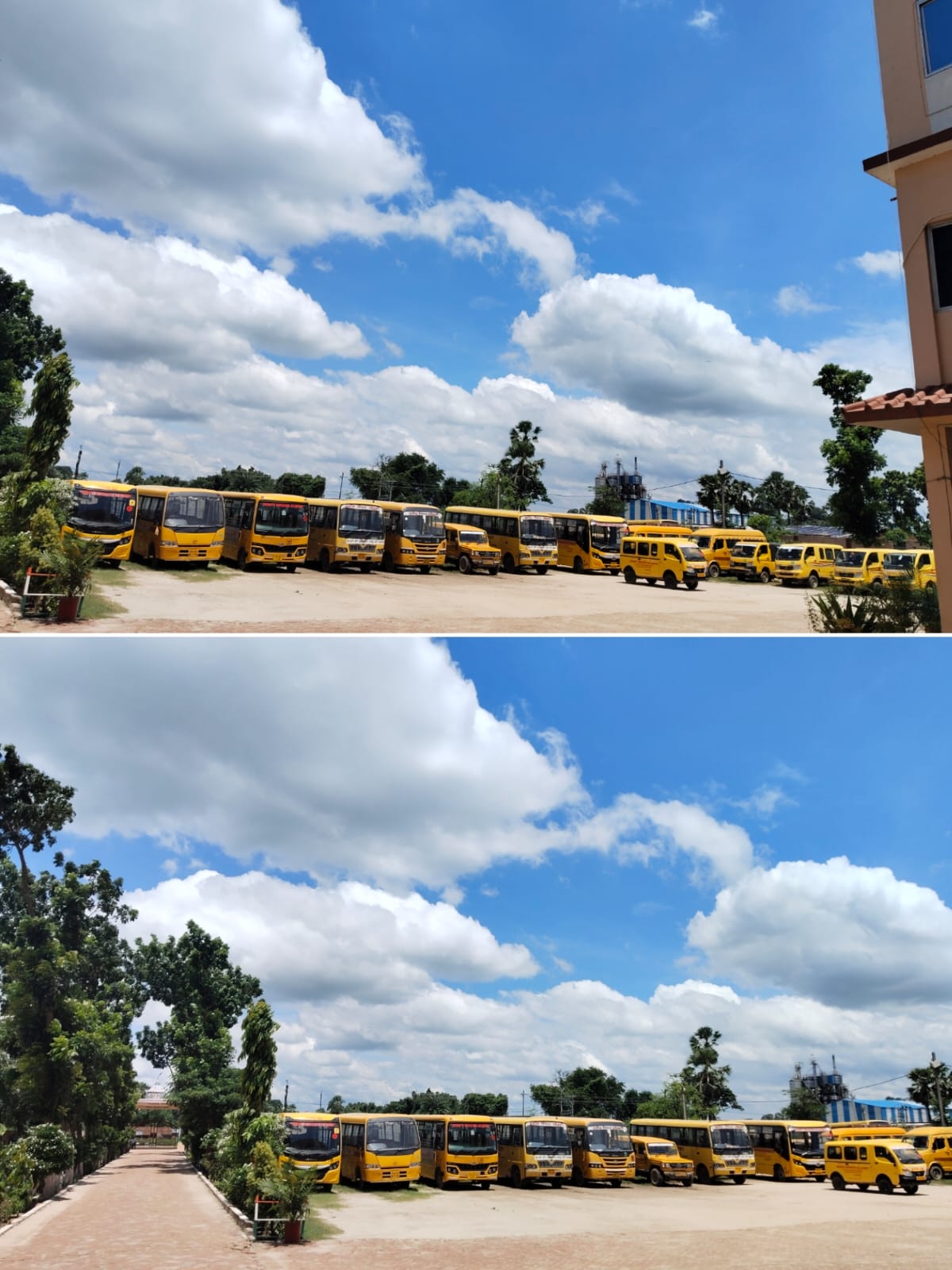 School buses