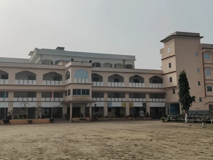 The school and its ground